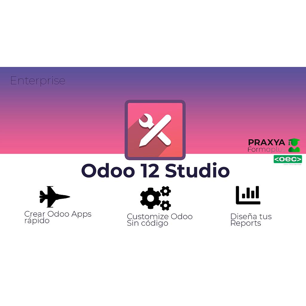 Curso Odoo Studio 12 Enterprise