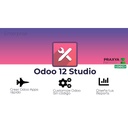 Curso Odoo Studio 12 Enterprise