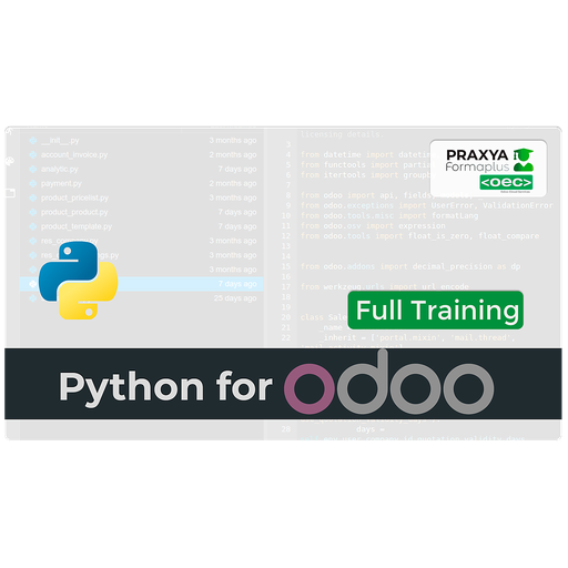 Python para Odoo